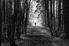 Man on Forest Trail